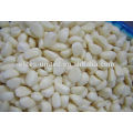 Whole IQF Frozen Natural Garlic